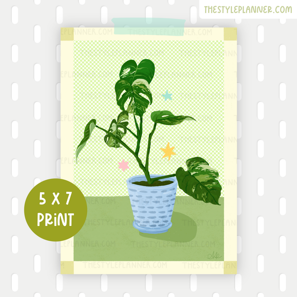 Potted Monstera Print | 5 x 7