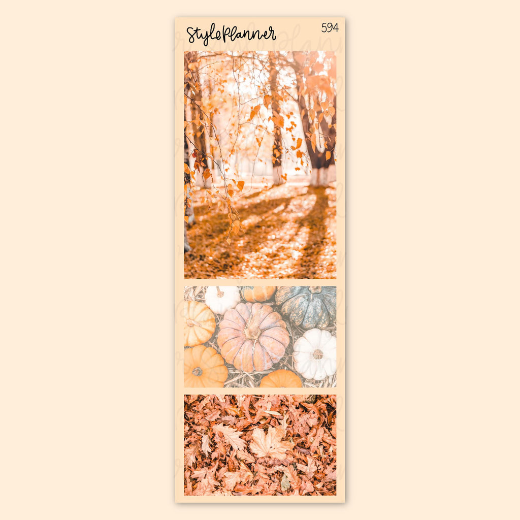 Fall Leaves Photo Stickers