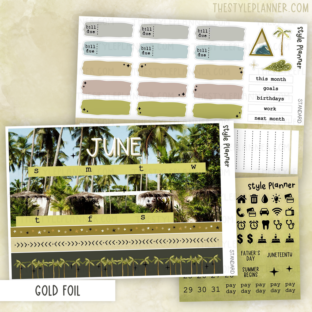 JUNE Standard (EC) / Happy Planner Monthly Kit With Gold Foil