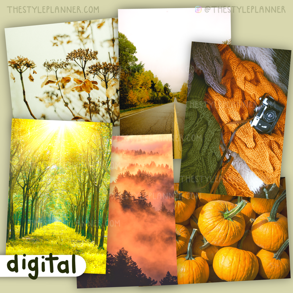 DIGITAL Autumn Photos Set